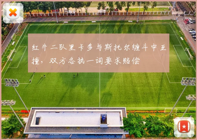 红牛二队里卡多与斯托尔缠斗中互撞，双方各执一词要求赔偿
