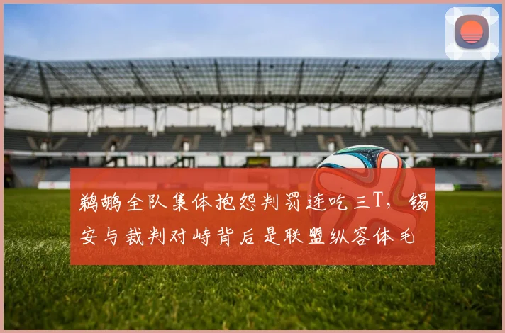 鹈鹕全队集体抱怨判罚连吃三T,锡安与裁判对峙背后是联盟纵容体毛哨?