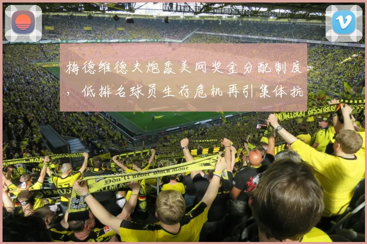 梅德维德夫炮轰美网奖金分配制度,低排名球员生存危机再引集体抗议